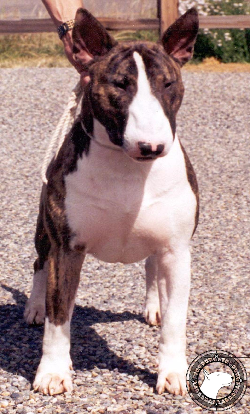 ARICON EYE ELECTRIFY